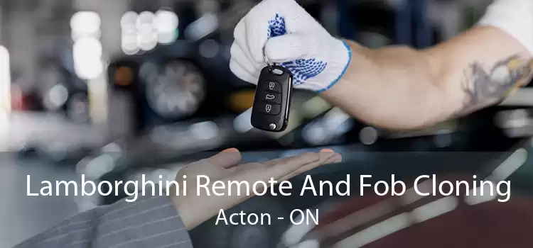 Lamborghini Remote And Fob Cloning Acton - ON
