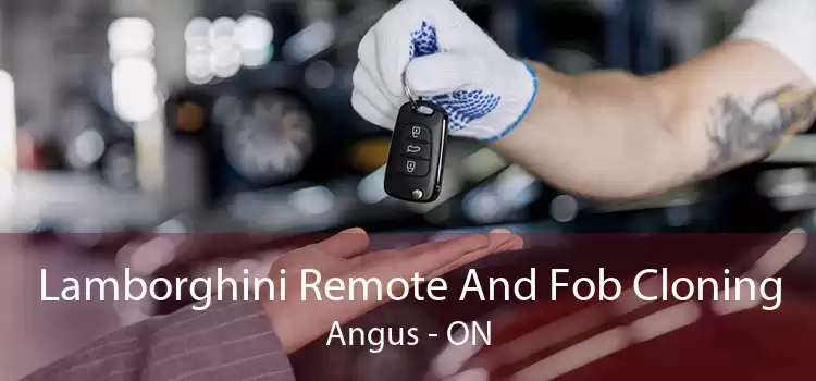 Lamborghini Remote And Fob Cloning Angus - ON