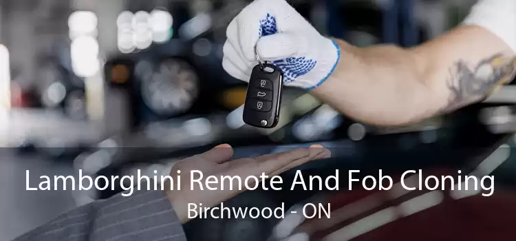 Lamborghini Remote And Fob Cloning Birchwood - ON