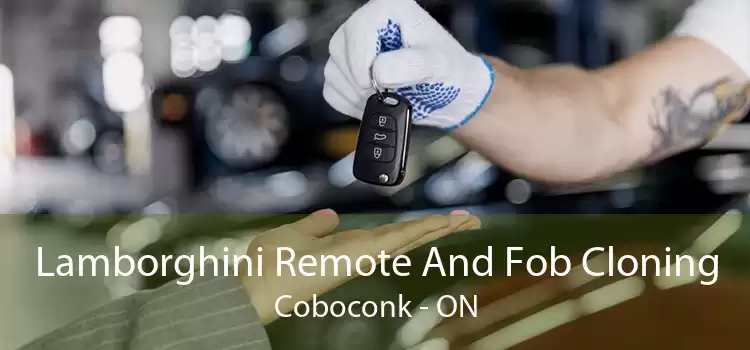 Lamborghini Remote And Fob Cloning Coboconk - ON