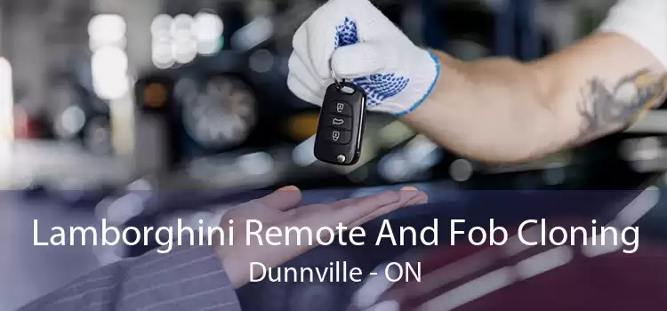 Lamborghini Remote And Fob Cloning Dunnville - ON