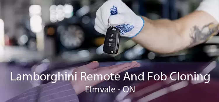 Lamborghini Remote And Fob Cloning Elmvale - ON