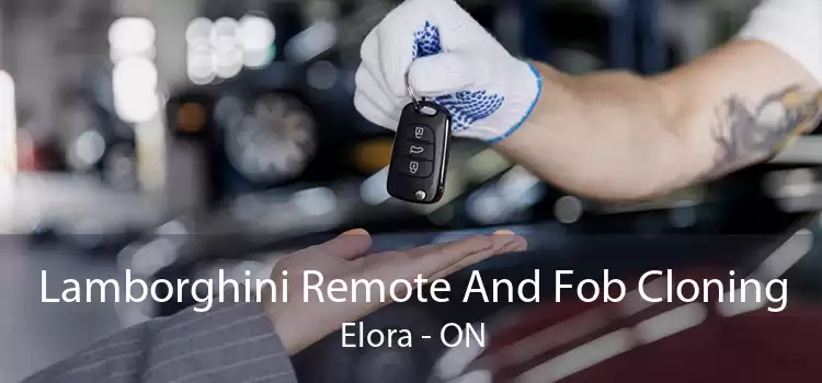 Lamborghini Remote And Fob Cloning Elora - ON