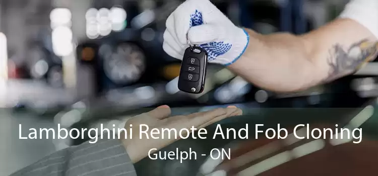 Lamborghini Remote And Fob Cloning Guelph - ON