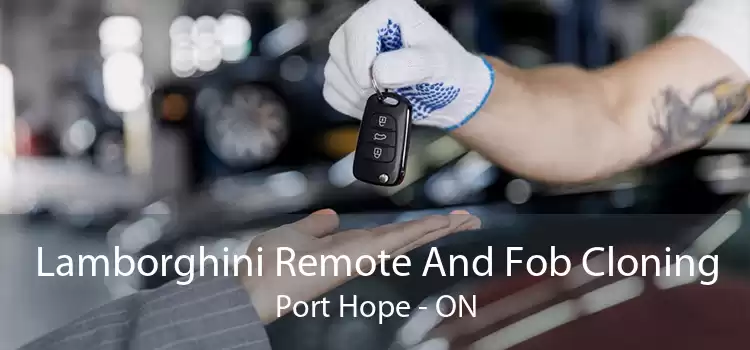 Lamborghini Remote And Fob Cloning Port Hope - ON