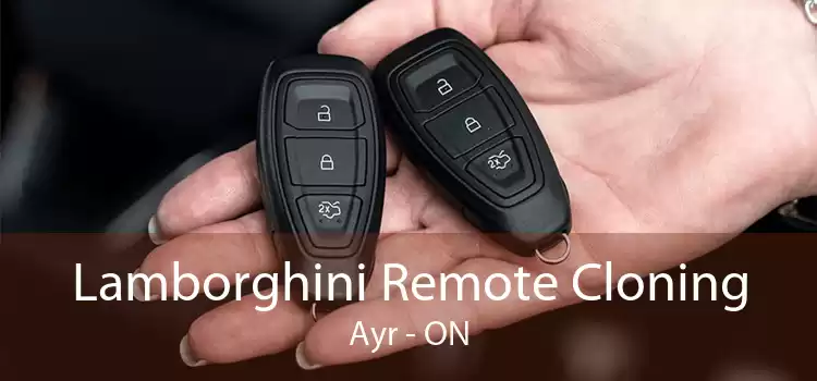 Lamborghini Remote Cloning Ayr - ON