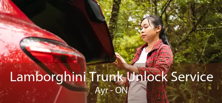 Lamborghini Trunk Unlock Service Ayr - ON