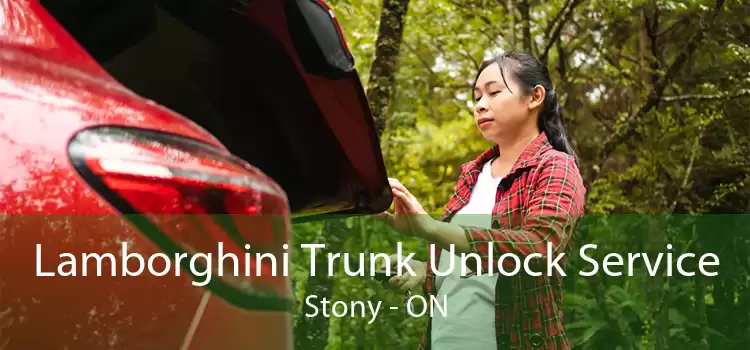 Lamborghini Trunk Unlock Service Stony - ON
