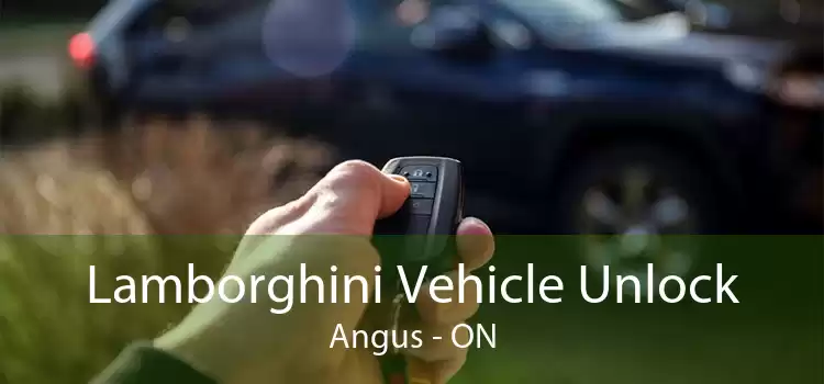 Lamborghini Vehicle Unlock Angus - ON
