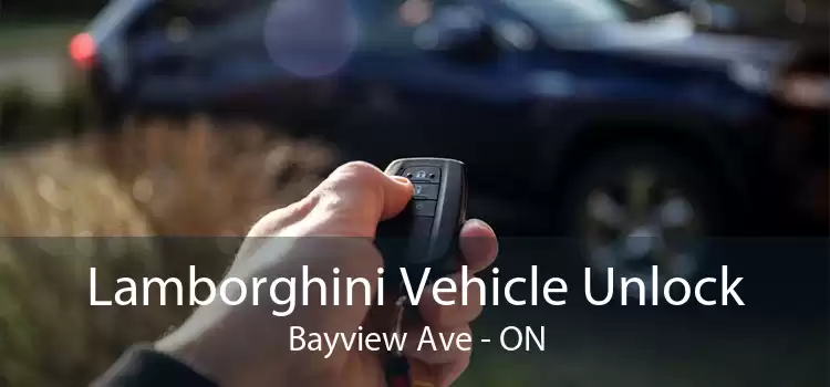 Lamborghini Vehicle Unlock Bayview Ave - ON