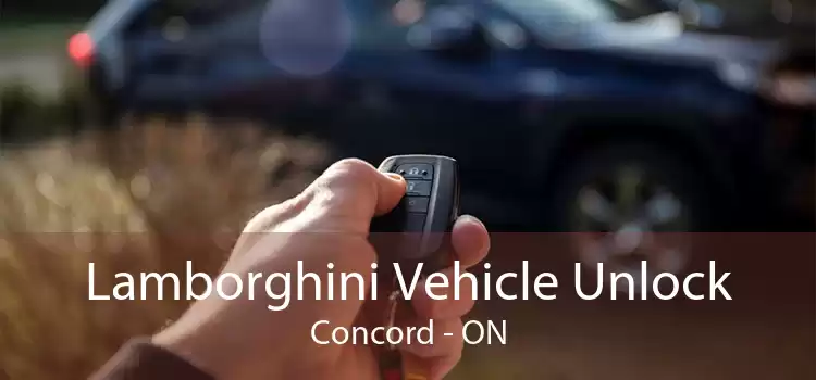 Lamborghini Vehicle Unlock Concord - ON