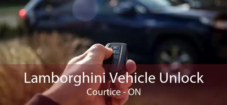 Lamborghini Vehicle Unlock Courtice - ON