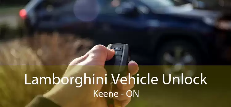 Lamborghini Vehicle Unlock Keene - ON