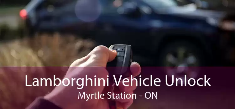 Lamborghini Vehicle Unlock Myrtle Station - ON