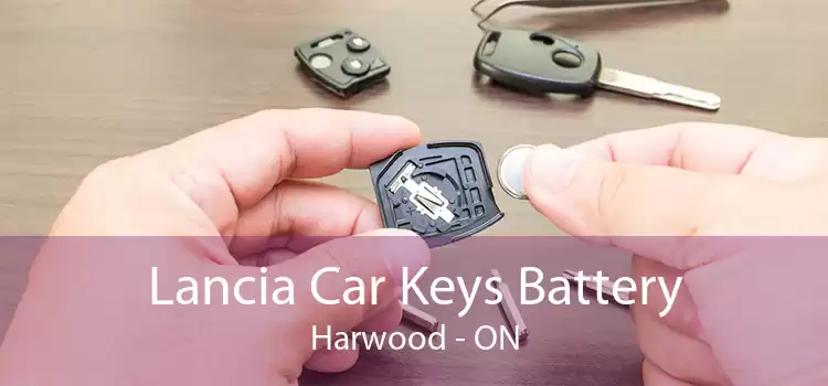 Lancia Car Keys Battery Harwood - ON