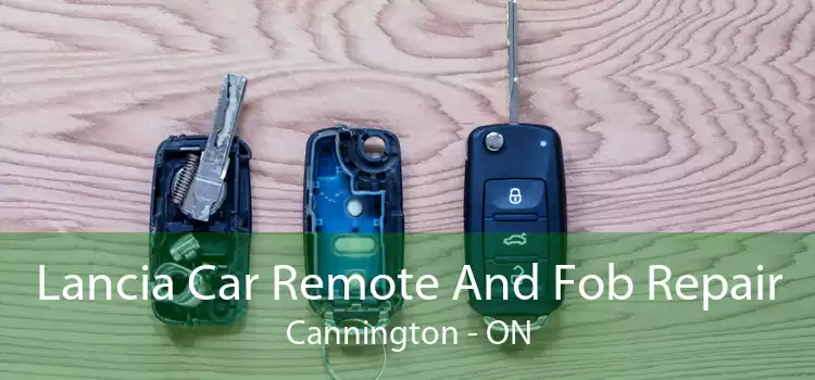 Lancia Car Remote And Fob Repair Cannington - ON