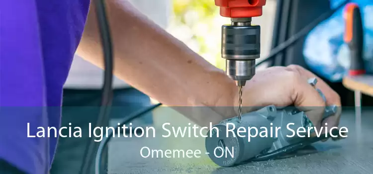 Lancia Ignition Switch Repair Service Omemee - ON