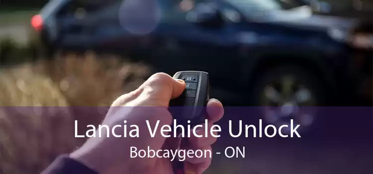 Lancia Vehicle Unlock Bobcaygeon - ON