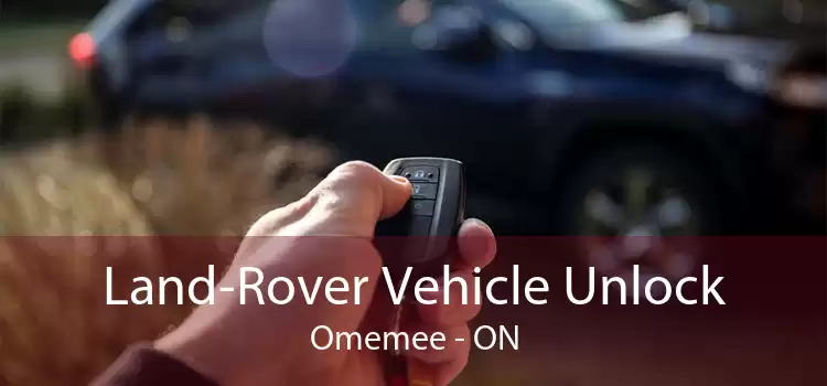 Land-Rover Vehicle Unlock Omemee - ON