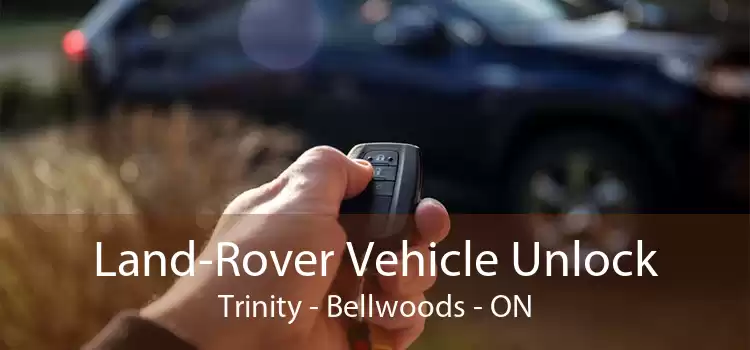 Land-Rover Vehicle Unlock Trinity Bellwoods - ON
