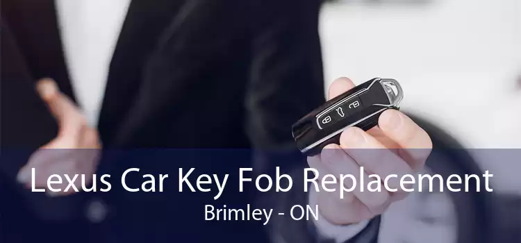 Lexus Car Key Fob Replacement Brimley - ON