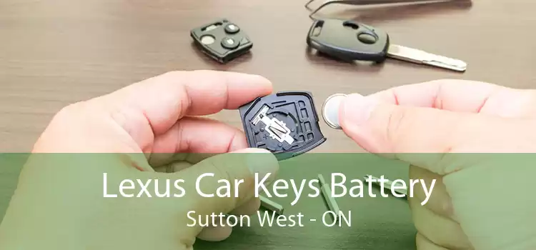 Lexus Car Keys Battery Sutton West - ON