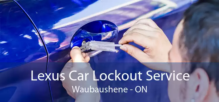 Lexus Car Lockout Service Waubaushene - ON