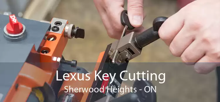 Lexus Key Cutting Sherwood Heights - ON