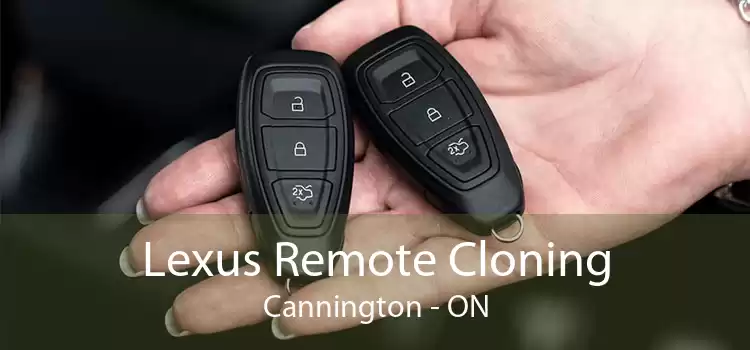 Lexus Remote Cloning Cannington - ON