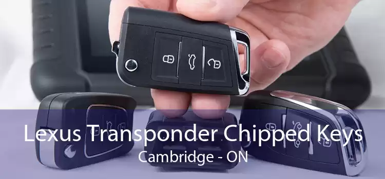 Lexus Transponder Chipped Keys Cambridge - ON