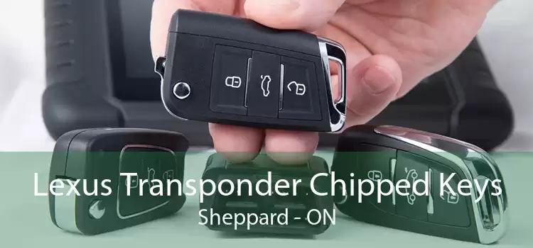 Lexus Transponder Chipped Keys Sheppard - ON