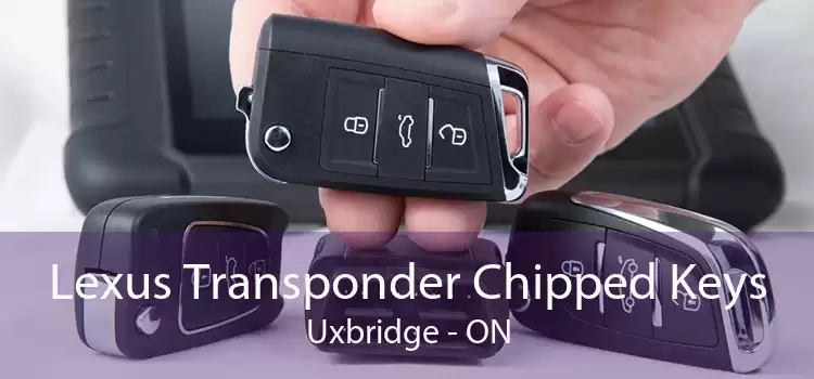 Lexus Transponder Chipped Keys Uxbridge - ON