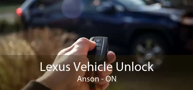 Lexus Vehicle Unlock Anson - ON