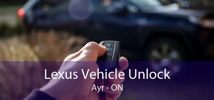 Lexus Vehicle Unlock Ayr - ON