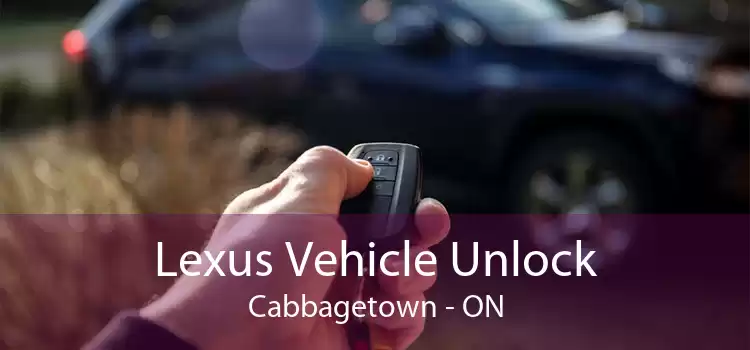 Lexus Vehicle Unlock Cabbagetown - ON