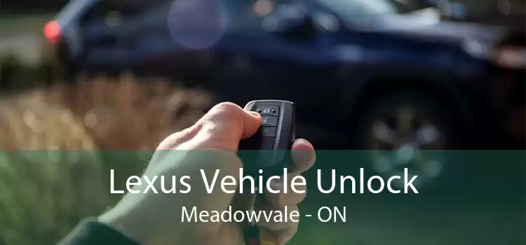 Lexus Vehicle Unlock Meadowvale - ON