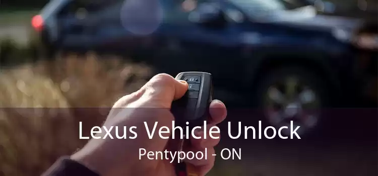 Lexus Vehicle Unlock Pentypool - ON