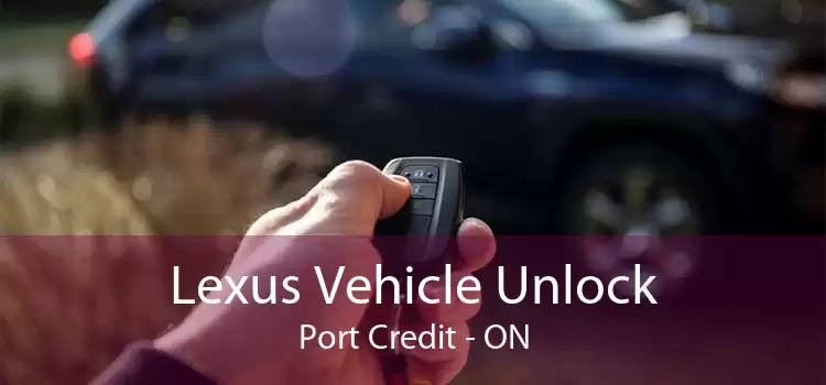 Lexus Vehicle Unlock Port Credit - ON