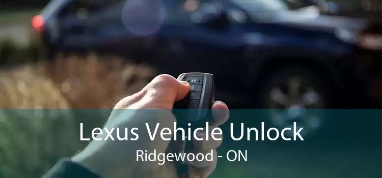 Lexus Vehicle Unlock Ridgewood - ON
