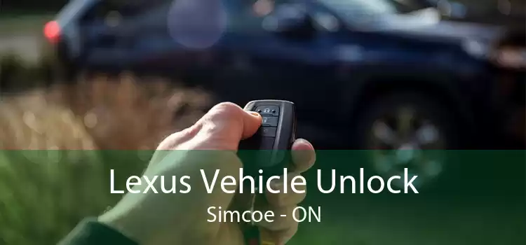 Lexus Vehicle Unlock Simcoe - ON