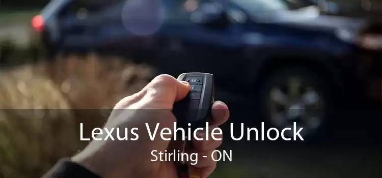 Lexus Vehicle Unlock Stirling - ON