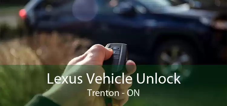 Lexus Vehicle Unlock Trenton - ON
