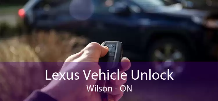 Lexus Vehicle Unlock Wilson - ON