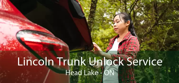 Lincoln Trunk Unlock Service Head Lake - ON
