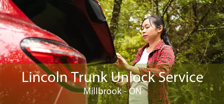 Lincoln Trunk Unlock Service Millbrook - ON