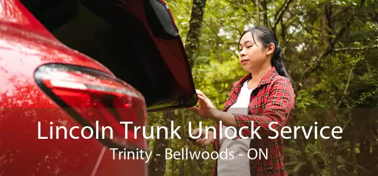 Lincoln Trunk Unlock Service Trinity - Bellwoods - ON