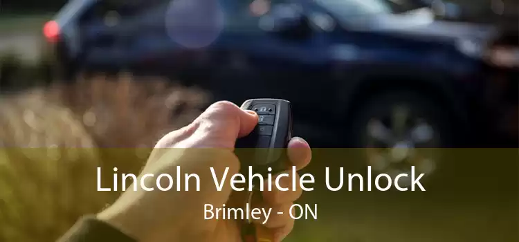 Lincoln Vehicle Unlock Brimley - ON