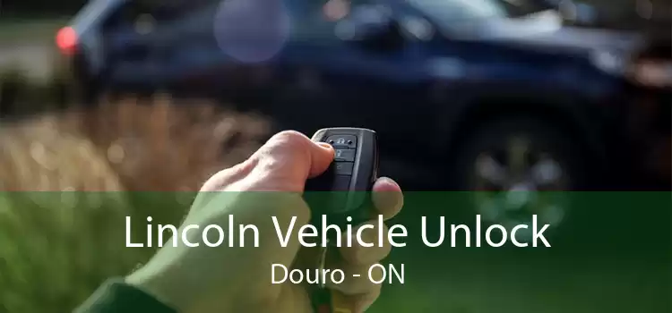 Lincoln Vehicle Unlock Douro - ON