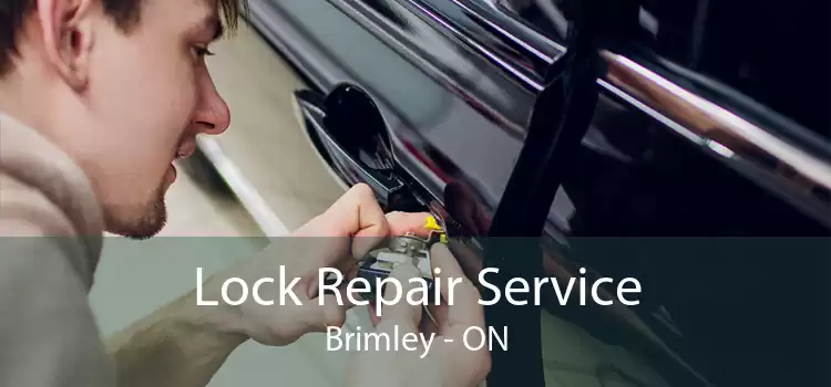 Lock Repair Service Brimley - ON