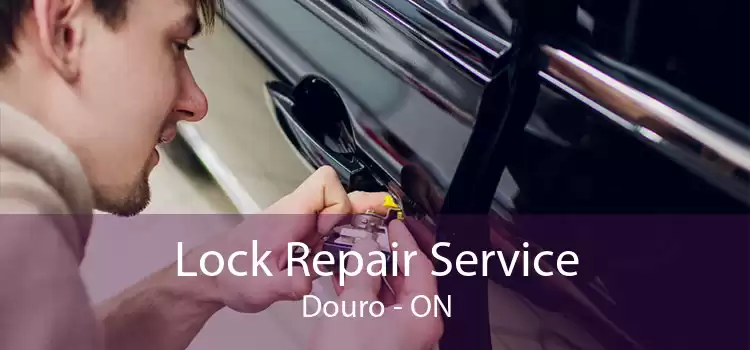 Lock Repair Service Douro - ON